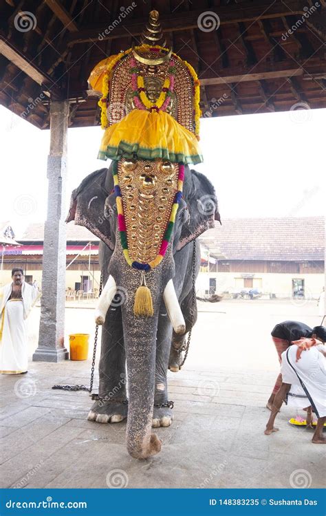 Decorated Elephant in the Temple. Editorial Image - Image of lunch ...