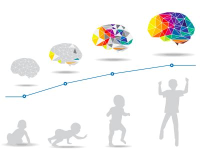 Brain Development During Adolescence | Lifespan Development