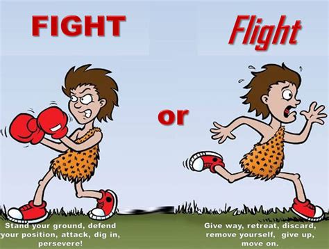 Taking Flight by Fighting Your “Fight or Flight” Instinct - PK Therapy