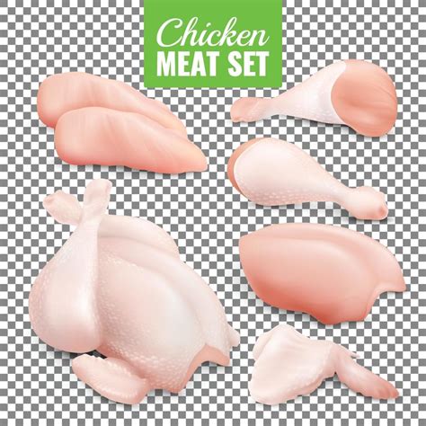 chicken meat set 1991979 Vector Art at Vecteezy