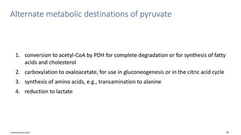 Pyruvate dehydrogenase and the citric acid cycle - ppt download