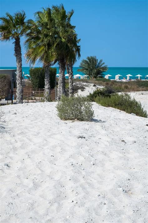 Saadiyat Public Beach, Saadiyat Island, Abu Dhabi, UAE Editorial Stock Image - Image of nature ...