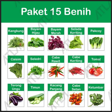 Jual Paket 15 Benih Bibit Biji Tanaman Sayur Daun Berkebun Hidroponik - Kota Surabaya - Atla ...