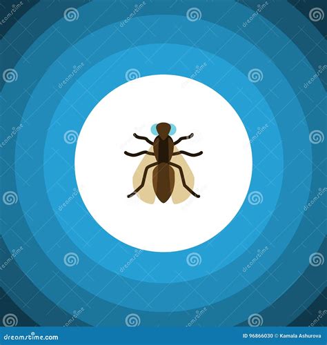 Gnat Flat Icon. Mosquito Vector Element Can Be Used for Gnat, Mosquito ...