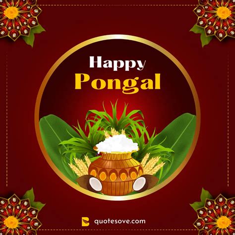 Happy Pongal Wishes 2023, Quotes, & Messages » QuoteSove