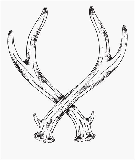 Transparent Antlers Clipart - Deer Antler Line Art , Free Transparent ...