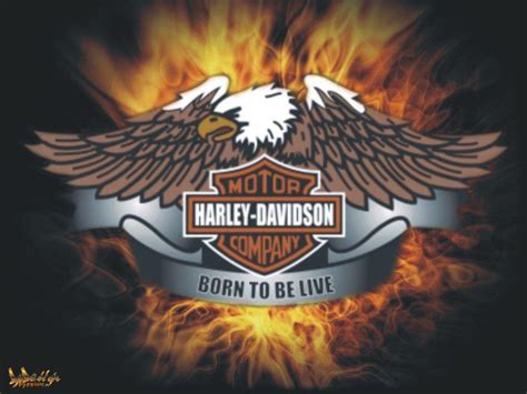 Harley Davidson Eagle Logo Wallpaper