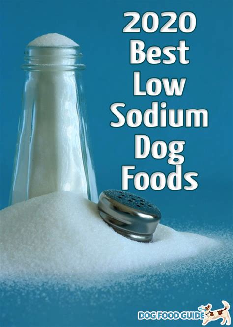 5 Best Choices For A Low Sodium Dog Food | Dog food recipes, Low sodium ...