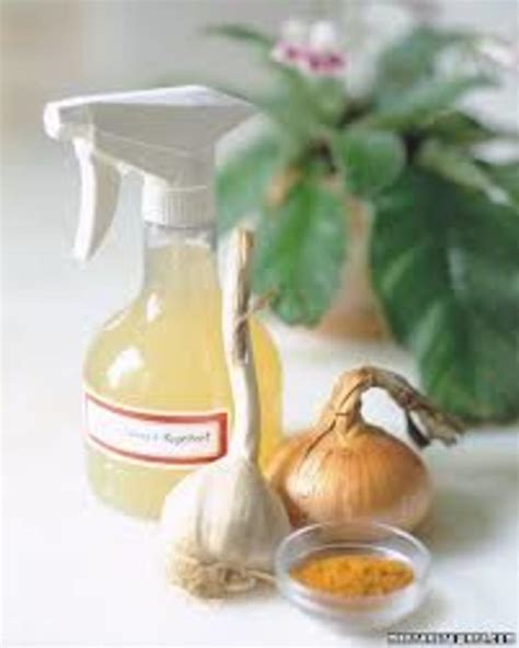 How to prepare Homemade Organic Pesticides | HubPages