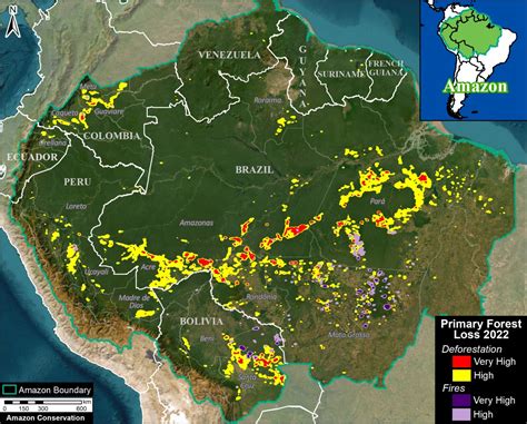 MAAP #187: Amazon Deforestation & Fire Hotspots 2022 | MAAP