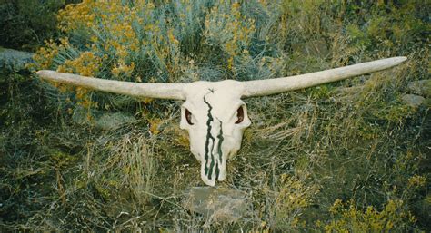 Cow Skull Sculpture Prop / Brooks and Dunn Logo - Micheal Parks