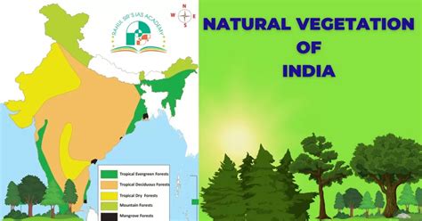 Natural Vegetation of India - Tropical Rainforests Montane etc