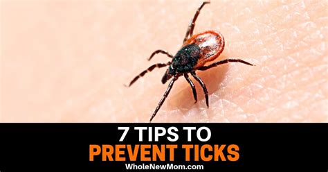 7 Tick Prevention Tips You Need to Know! | Whole New Mom