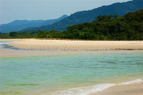 Bureh Beach | Sierra leone, Places to go, Beach