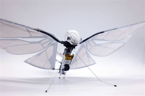 MetaFly Is Your Friendly Neighborhood Flying Robotic Insect