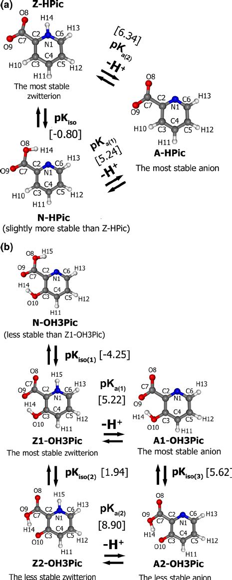 Theoretical reaction mechanisms for the deprotonation in a picolinic... | Download Scientific ...