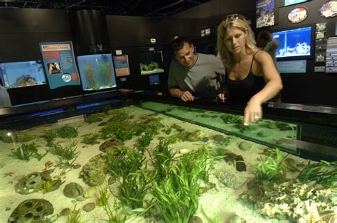 Mote Marine Aquarium | Florida Gulf Coast Area Guide