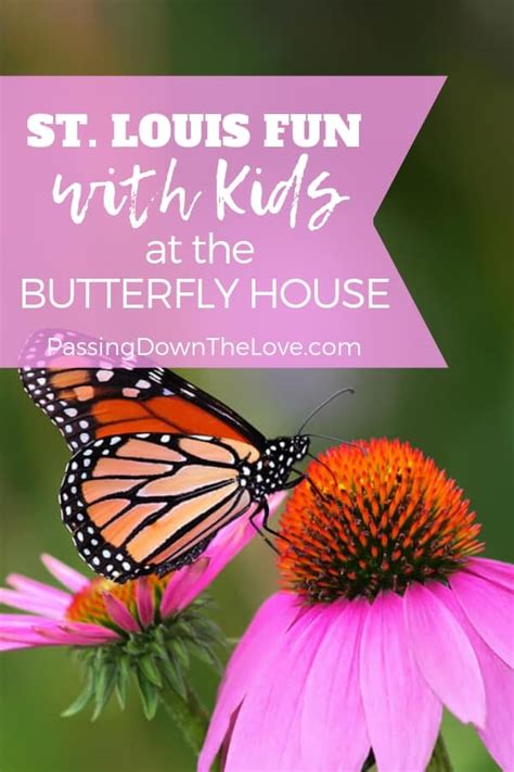 Sachs Butterfly House - Kid Friendly Fun in St. Louis, MO