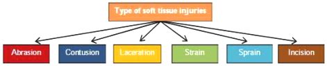 Explain any two types of soft tissue injuries with help of examples ...