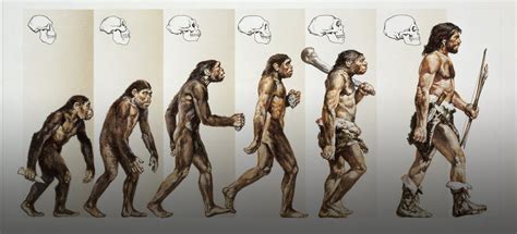 How Did Humans Evolve? | HISTORY