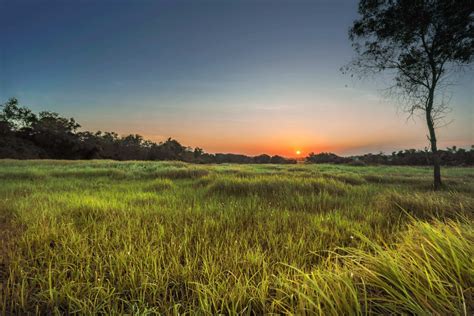 Free Images : natural landscape, sky, nature, grassland, natural ...