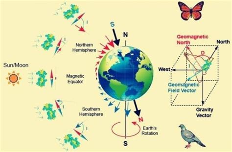 Detektiv männlich Vorabend quantum mechanics applications in real world Verlangen Heiraten steigen