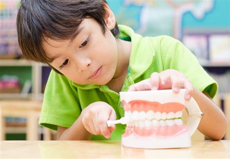 5 Ways to Maintain Healthy Teeth | All Family Dental Care