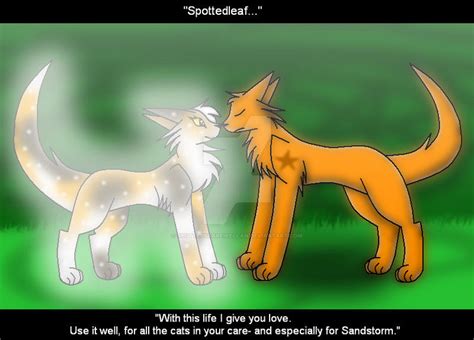 Firestar and Spottedleaf 9-Lives Ceremony by SpottedstarFireClan on ...