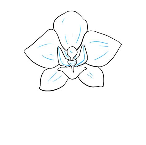 How to Draw a Beautiful Orchid - Really Easy Drawing Tutorial | Easy ...