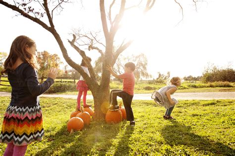 Children enjoying at grassy field on sunny day stock photo