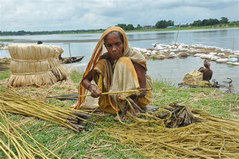 Agriculture Bangladesh - Free photo on Pixabay - Pixabay