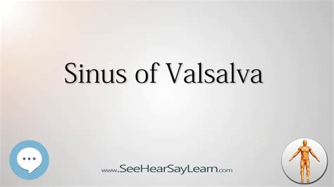 Sinus of Valsalva Anatomy Named After People 🔊 - YouTube