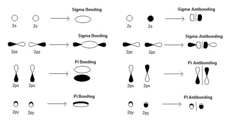 How are there pi bonds in B_2 molecule without sigma bonds? | Socratic