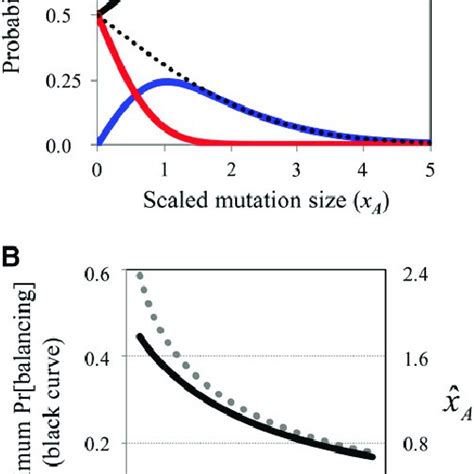 Balancing selection in Fisher's geometric model. (A) Probabilities of... | Download Scientific ...