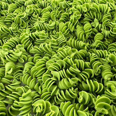 Vegan Fusilli Pasta with Spinach – Wildly Beloved Foods