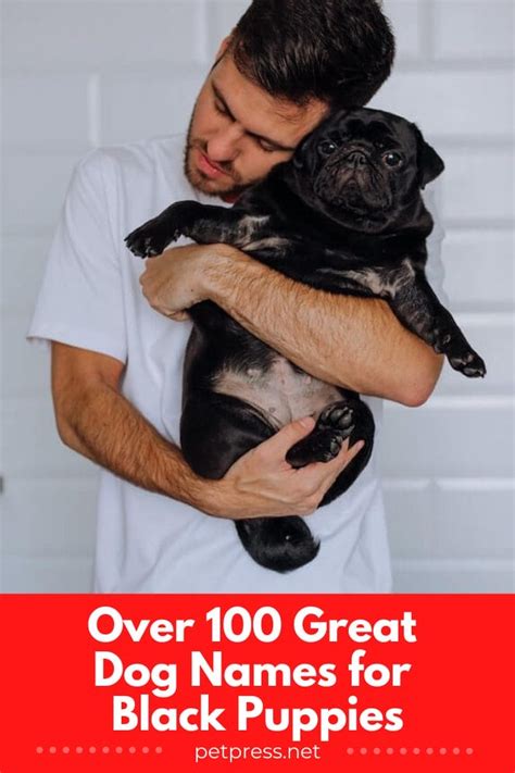 Over 100 Great Dog Names for Black Puppies