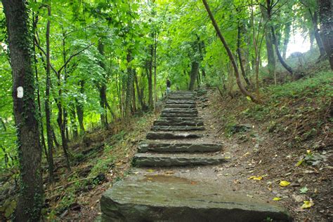 Google Image Result for http://52wednesdays.com/wp-content/uploads/2011/11/Appalachian-Trail-H ...