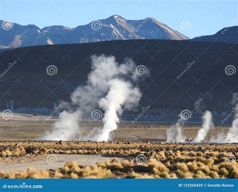 Geysers Del Tatio, Atacama Desert, Chile Stock Image - Image of landscape, pedro: 123260435