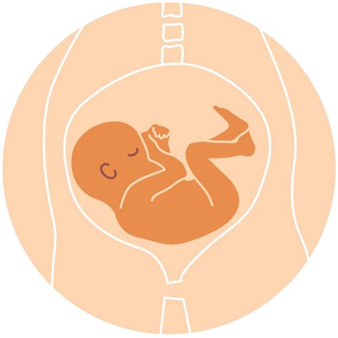 Baby position in womb: What they are and how to tell