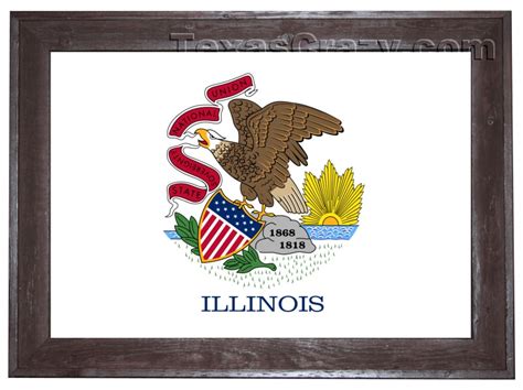 Buy 2 X 3 Illinois State Flag Framed IL Flag Wall Art