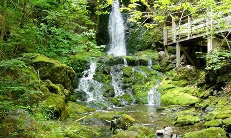 Fundy National Park | Bay of Fundy – Camping, Hiking, and Attractions