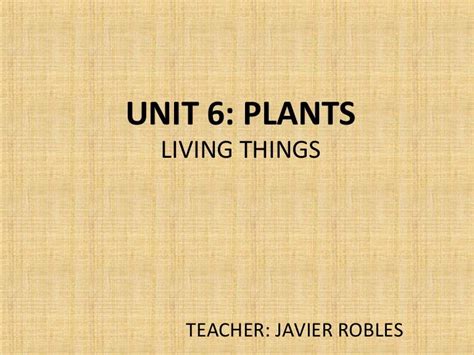 Plants are living things