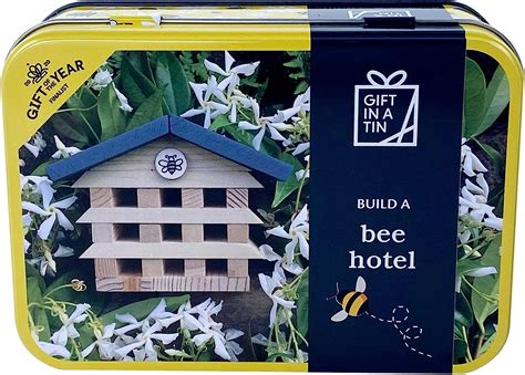 Widdle Gifts Ltd Gift in A Tin Craft/Activity Set Age 6+ - Build a Bee Hotel 0071 : Amazon.co.uk ...