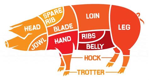 What Cuts To Get When Butchering A Pig: A Porcine Guide