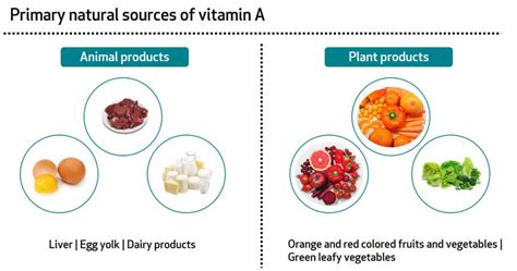 Primary Sources Of Iron | Source Of Vitamin A | Bioanalyt