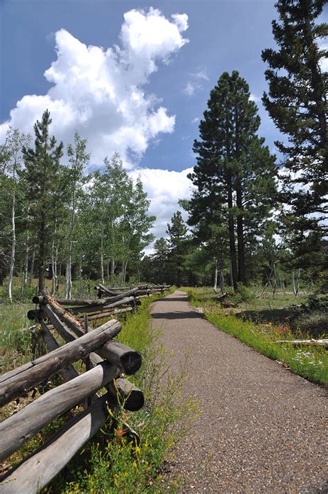 Kaibab National Forest - Arizona Trail #101 North Kaibab