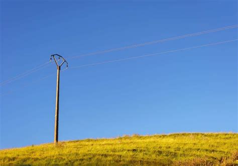 How Much Does Utility Pole Installation Cost? (6 Facts)