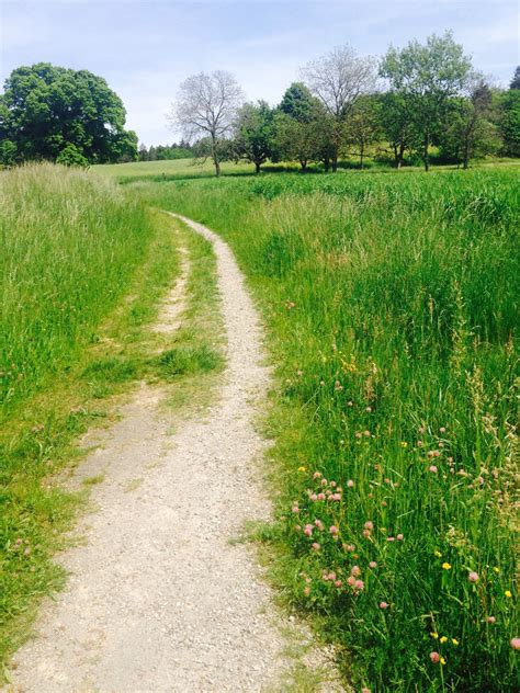 Free Images : landscape, tree, path, pathway, grass, outdoor, trail, field, farm, lawn, meadow ...