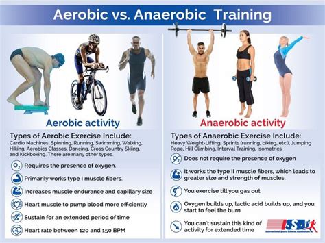 Aerobic Vs Anaerobic Exercise Which Is Best for Weight Loss - Hillary-has-Petty