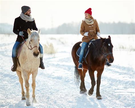 Winter Horse Riding in Bled | Activities in Slovenia from Bled & Ljubljana